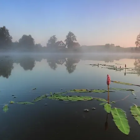 Dom Nad Stawem ファームステイ Ostrowice
